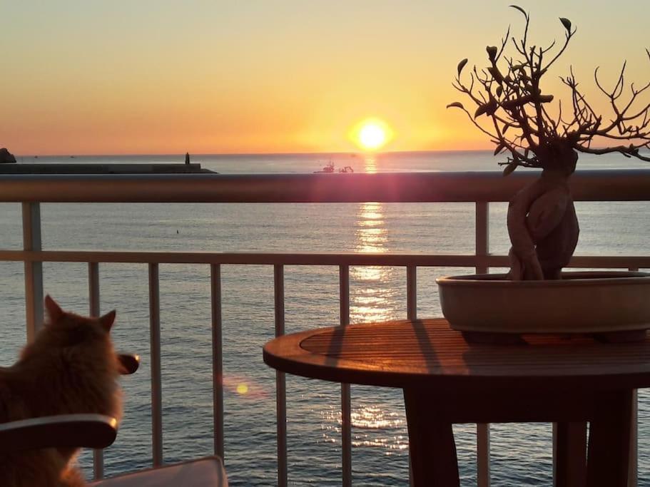 La Casa Del Port Lägenhet Jávea Exteriör bild