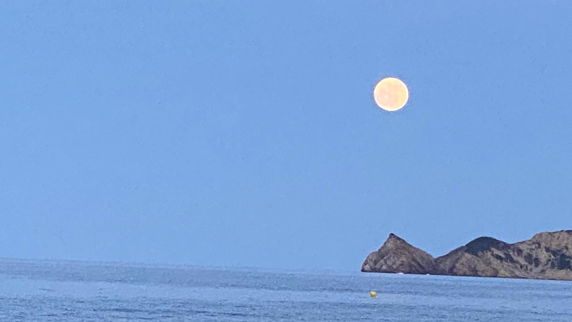 La Casa Del Port Lägenhet Jávea Exteriör bild