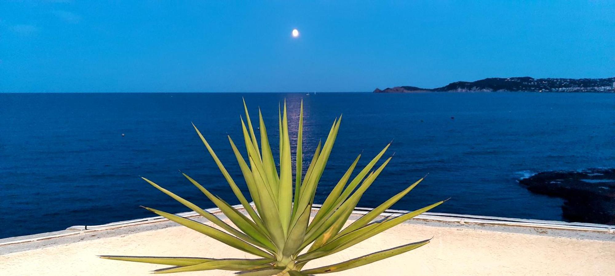 La Casa Del Port Lägenhet Jávea Exteriör bild